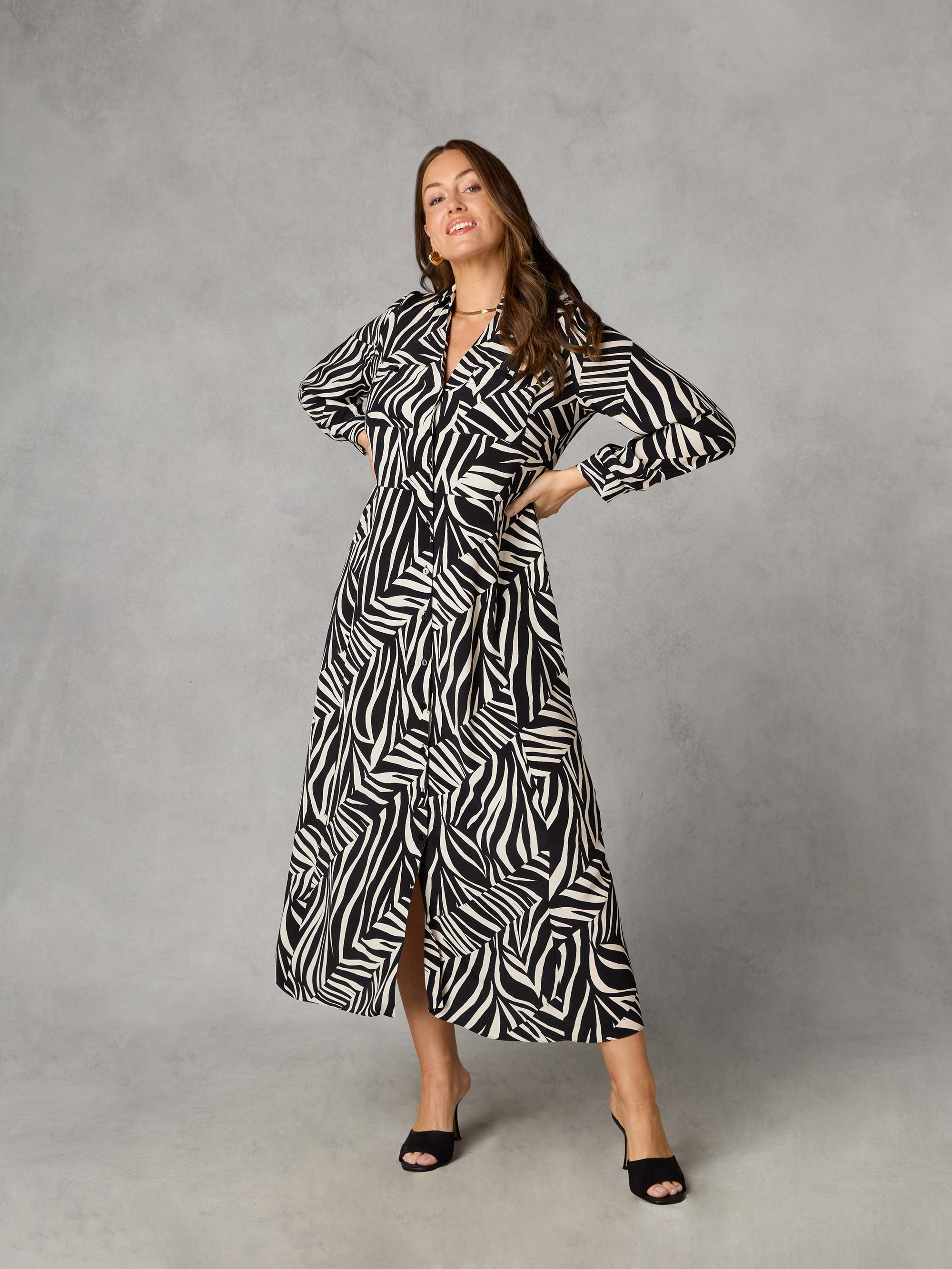 Petite Stone Linear Print Shirt Dress