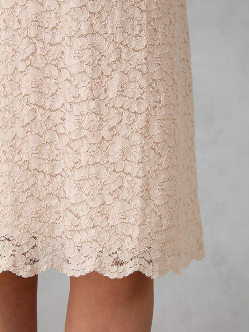 Blush Lace Shift Dress
