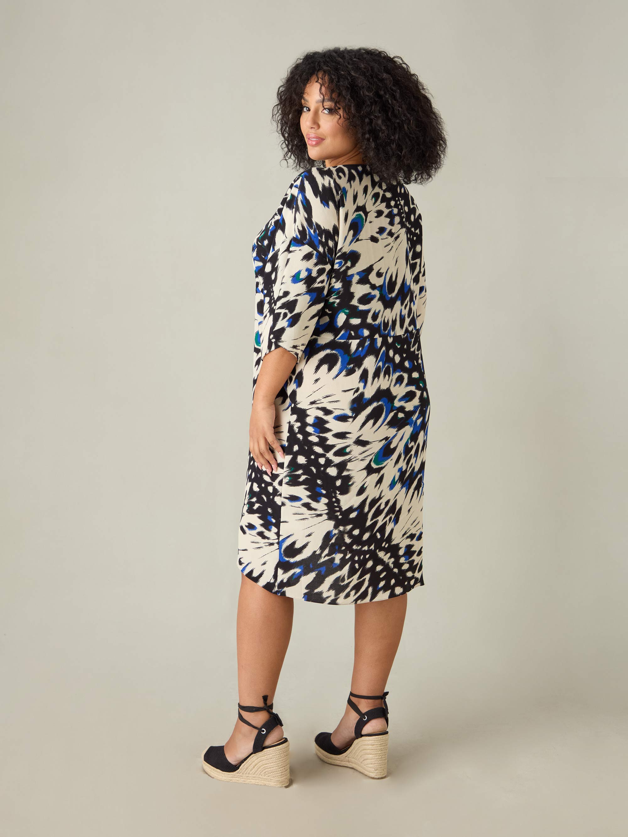 Butterfly Print V-Neck Dress