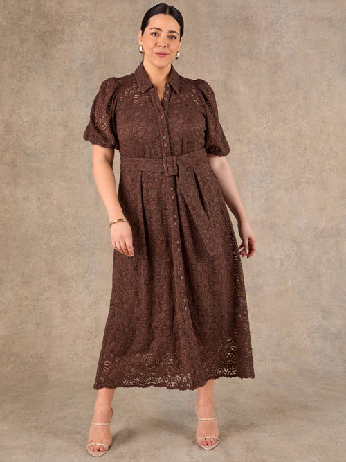 Chocolate brown lace occasion dress with collar and button front
