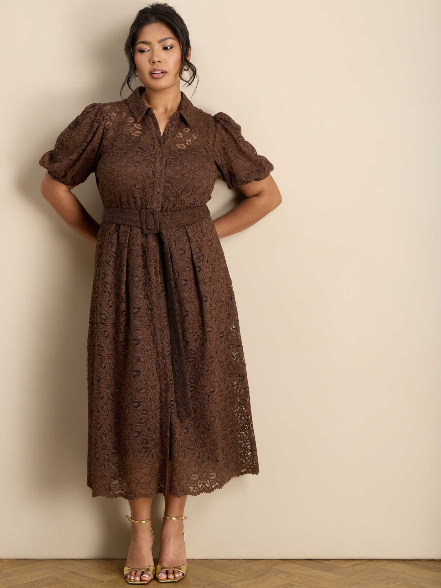 Brown Puff Sleeve Button Through Belted Lace Dress
