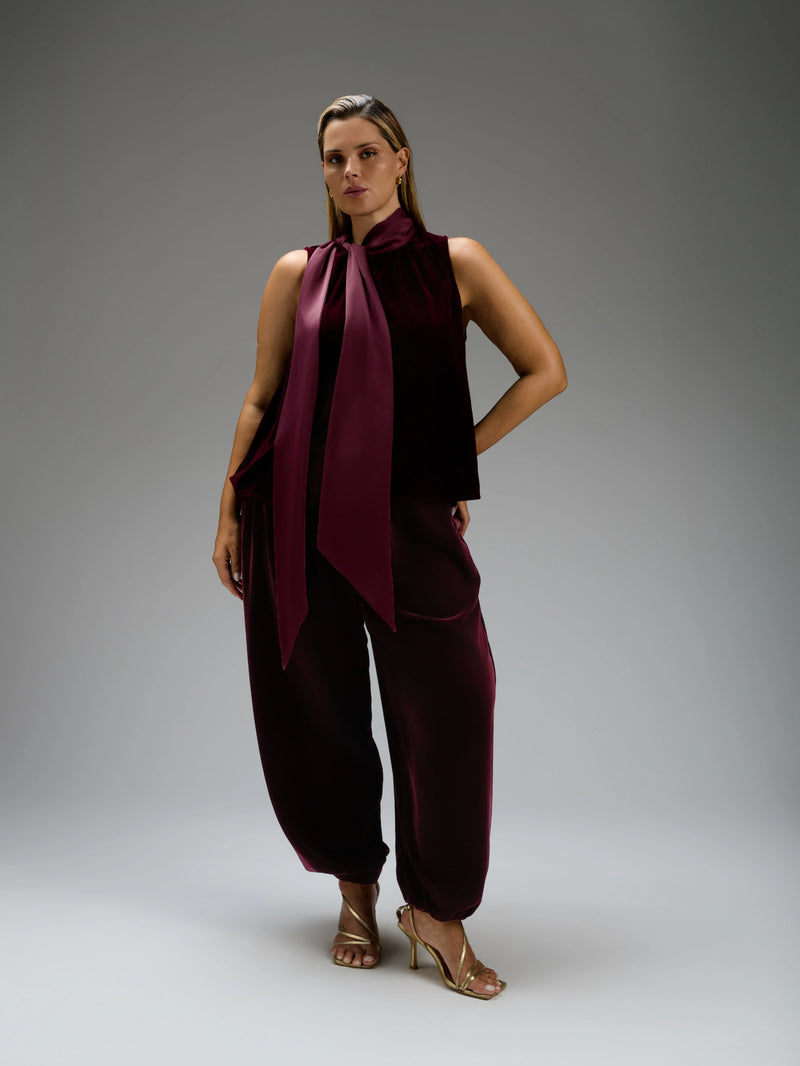 Plum Velvet Tie Neck Blouse