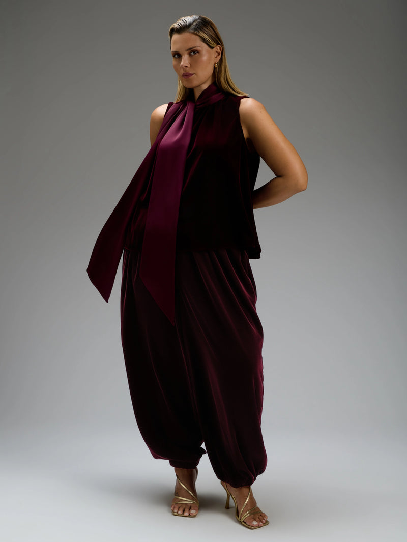 Plum Velvet Tie Neck Blouse