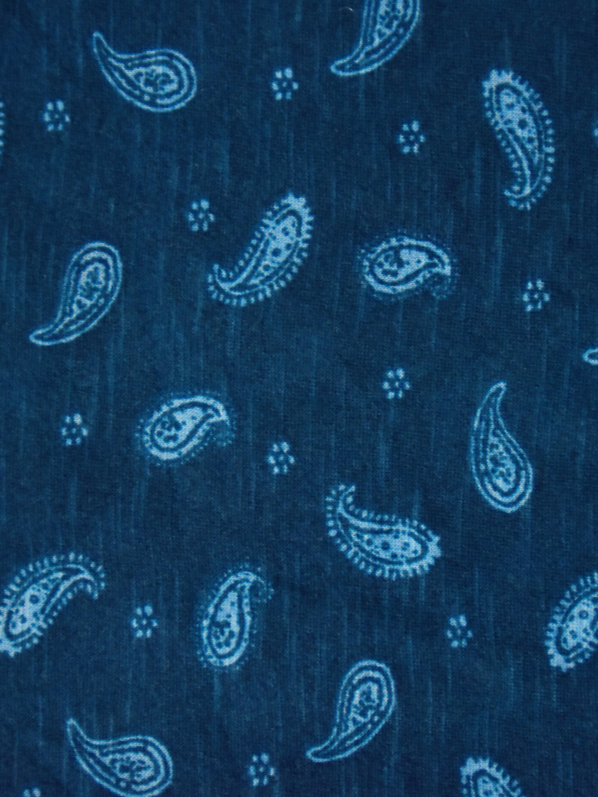 Blue Paisley Cotton Slub Tiered Midi Dress